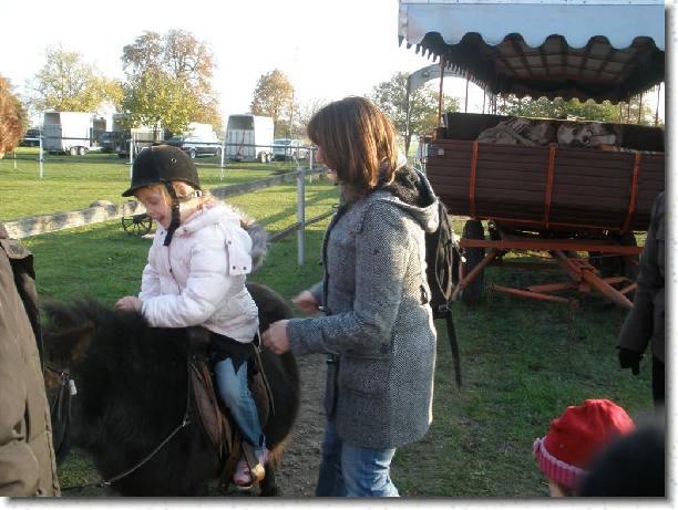 Zum Bild in Originalgröße hier klicken...