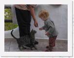 P9280283_ * Wer ist schneller - die Katze oder ich? * 2560 x 1920 * (141KB)